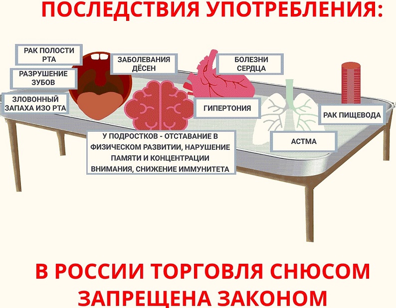 В России запрещена торговля снюсом